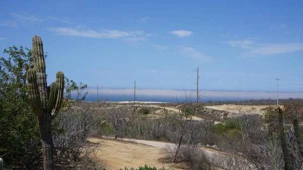 Vista Panorâmica Área Cabo San Lucas Baja California Sur México — Fotografia de Stock