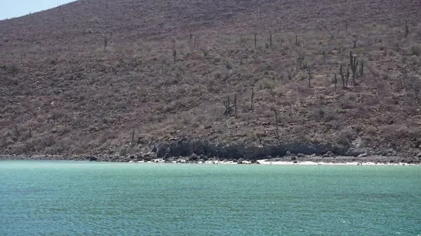 Paz Baja California Sur México Junho 2022 Vista Panorâmica Baía — Fotografia de Stock