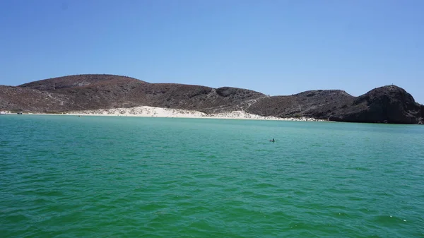 Paz Baja California Sur Meksika Haziran 2022 Balandra Körfezi Nin — Stok fotoğraf