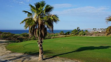 San Jose del Cabo 'da golf sahası, Baja California Sur, Meksika