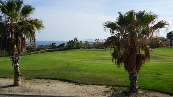 Golf Course San Jose Del Cabo Baja California Sur Mexico — Stock Photo, Image