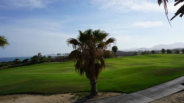 Campo Golf San Jose Del Cabo Baja California Sur México — Foto de Stock
