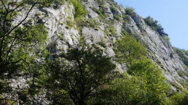 Aralar, Gipuzkoa, Bask ülkesinde kırsal ve doğal manzara