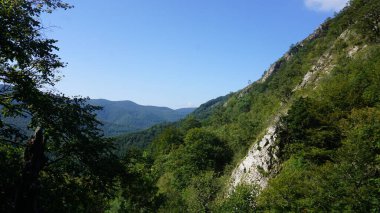 Aralar, Gipuzkoa, Bask ülkesinde kırsal ve doğal manzara