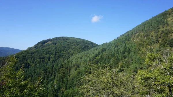 Krajobraz Wiejski Naturalny Aralar Gipuzkoa Kraj Basków — Zdjęcie stockowe