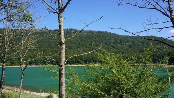 Perdesaan Dan Alam Lansekap Aralar Gipuzkoa Basque Country — Stok Foto