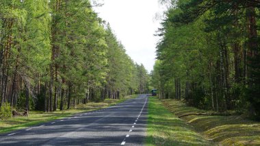 Estonya Tallinn 'in kuzeyindeki Lahemaa Milli Parkı' nın manzarası