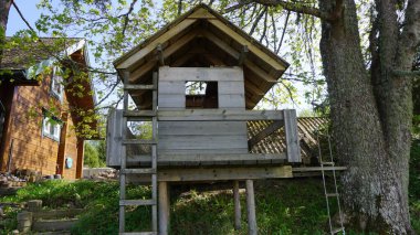 Estonya Tallinn 'in kuzeyindeki Lahemaa Milli Parkı' nın manzarası