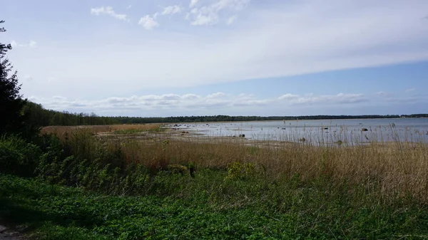 Landscape Lahemaa National Park North Tallinn Estonia — Stock Photo, Image