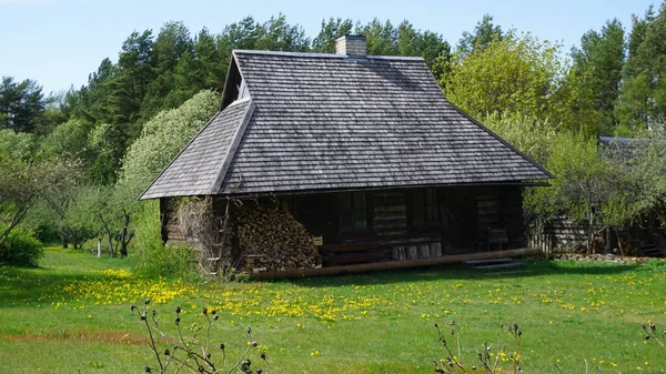 森の古い木造小屋 — ストック写真