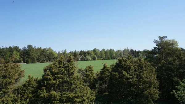 Αγροτικό Τοπίο Στο Νησί Saaremaa Στην Εσθονία — Φωτογραφία Αρχείου