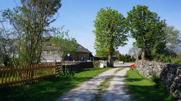 Paysage Rural Sur Île Saaremaa Estonie — Photo