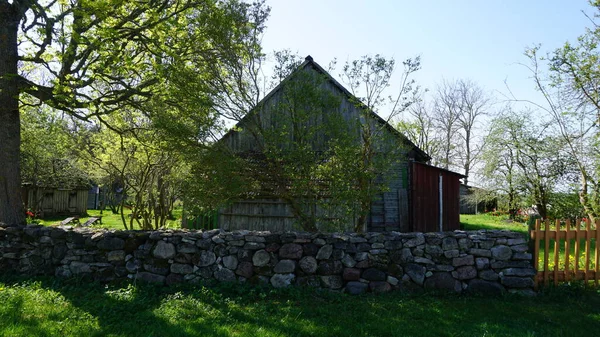 Estonya Nın Saaremaa Adasındaki Kırsal Alan — Stok fotoğraf