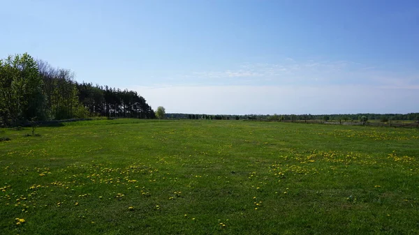 Αγροτικό Τοπίο Στο Νησί Saaremaa Στην Εσθονία — Φωτογραφία Αρχείου