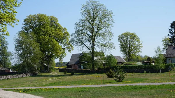 Paysage Rural Sur Île Saaremaa Estonie — Photo
