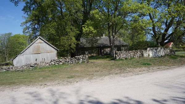 Krajobraz Wiejski Wyspie Saaremaa Estonii — Zdjęcie stockowe