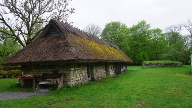 Estonya 'daki Muhu adasında kırsal alan.