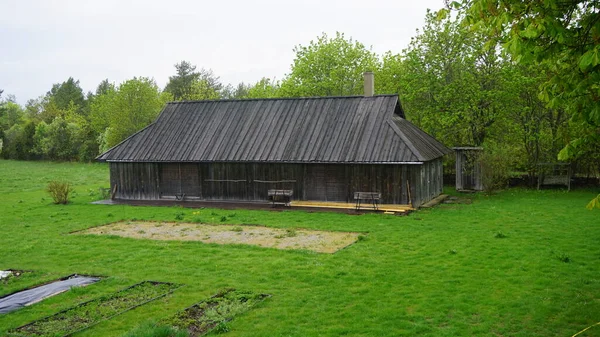 Paysage Rural Sur Île Muhu Estonie — Photo