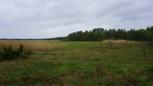 Paisagem Rural Ilha Muhu Estónia — Fotografia de Stock