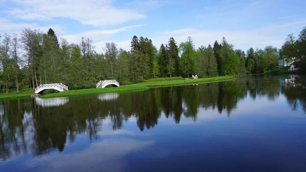Krajobraz Wiejski Przyrodniczy Vihula Manor Country Club Estonii — Zdjęcie stockowe