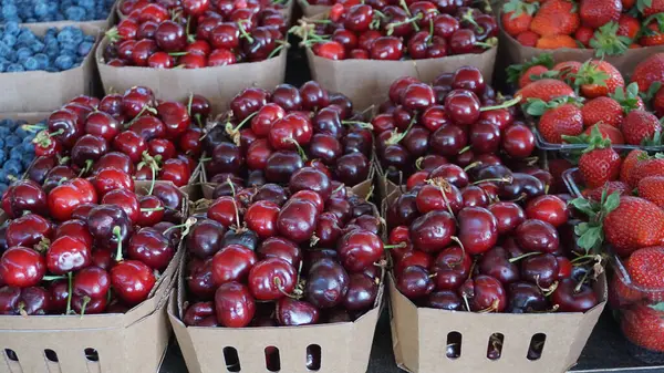 Obst Und Gemüsemarkt Tallinn Estland — Stockfoto