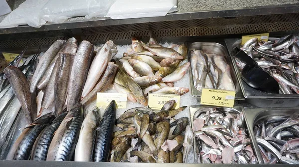 에스토니아 에스토니아 2023 Pictures Tallinn Fish Market Estonia — 스톡 사진