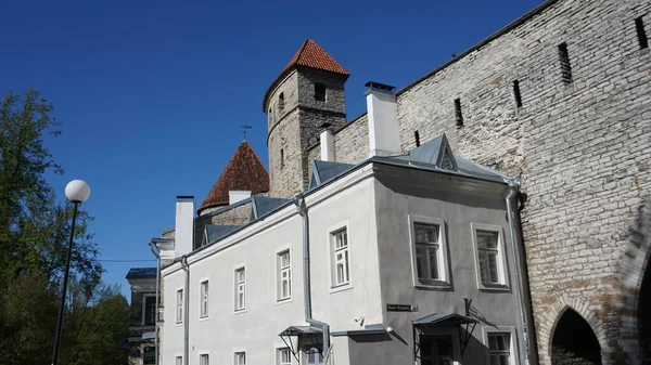 Tallinn Estonya Avrupa Mayıs 2023 Estonya Nın Başkenti Tallinn Şehrinin — Stok fotoğraf