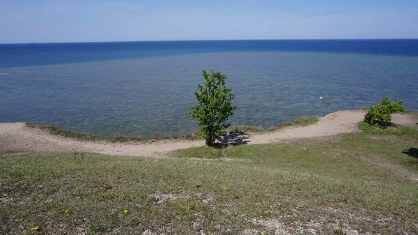 Paysage Rural Nature Sur Île Saaremaa Estonie — Photo