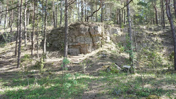 Ländliche Landschaft Und Natur Auf Der Insel Saaremaa Estland — Stockfoto