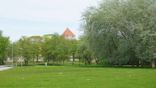 Krajobraz Wiejski Przyroda Wyspie Saaremaa Estonii — Zdjęcie stockowe