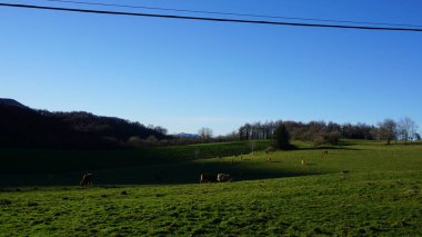 Gipuzkoa 'daki Ernio Dağı kırsal dağ manzaraları, Bask Ülkesi, kışın