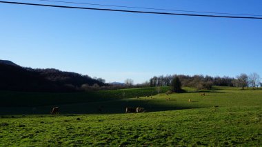 Gipuzkoa 'daki Ernio Dağı kırsal dağ manzaraları, Bask Ülkesi, kışın