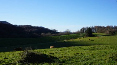 Gipuzkoa 'daki Ernio Dağı kırsal dağ manzaraları, Bask Ülkesi, kışın