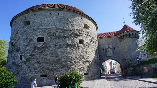Tallinn Estonya Avrupa Haziran 2023 Estonya Nın Tallinn Kentinin Bir — Stok fotoğraf