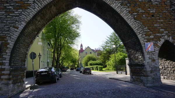 2023年6月18日 爱沙尼亚 春季一个星期四下午 爱沙尼亚塔林市的照片 — 图库照片