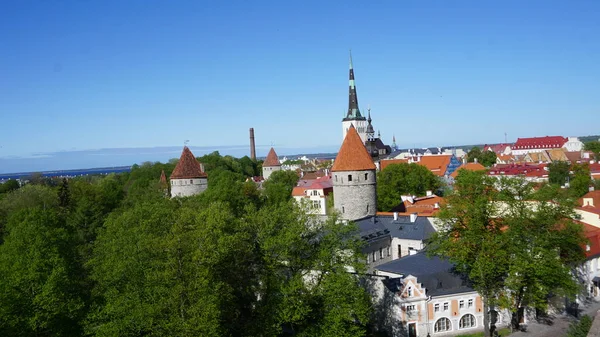 Таллинн Эстония Европа Июня 2023 Года Изображение Города Таллинна Эстонии — стоковое фото