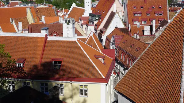 stock image Tallinn, Estonia, Europe, June, 18, 2023: Image of the city of Tallinn in Estonia on a Thursday afternoon in spring