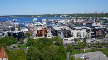 Tallinn, Estonya, Avrupa, 19 Haziran 2023: Estonya 'nın Tallinn kentinin bir Cuma öğleden sonrası görüntüsü