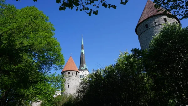 Tallinn Estonya Avrupa Haziran 2023 Estonya Nın Tallinn Kentinin Bir — Stok fotoğraf