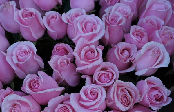 Tło Różowe Kwiaty Tallinn Kwiat Rynku — Zdjęcie stockowe