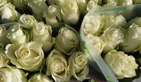 Ramos Rosas Blancas Venta Mercado Flores Tallin Una Tarde Primavera —  Fotos de Stock
