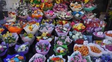 Hollanda, Amsterdam 'daki çiçek pazarında renkli çiçekler. 