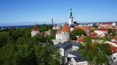 Estonya 'da Tallinn şehrinin silueti