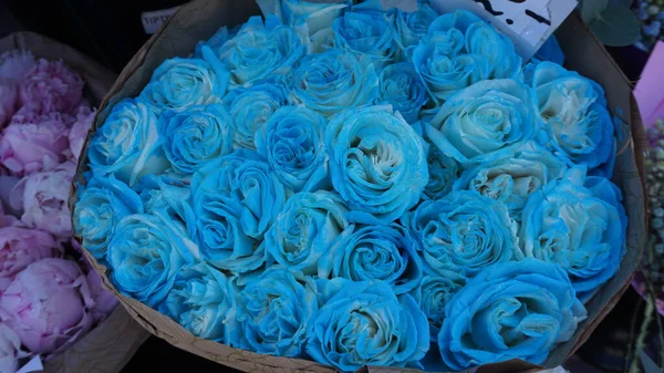 Tło Niebieskich Kwiatów Sklepie Tallinie Estonii — Zdjęcie stockowe