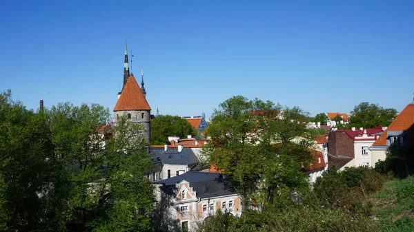 Ciudad Tallin Skyline Estonia —  Fotos de Stock