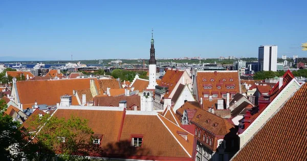 Skyline Van Tallinn Estland — Stockfoto