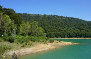 Aralar 'daki turkuaz su gölünün yanındaki yeşil ağaçlar ormanı.