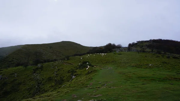 Paesaggio Rurale Sul Monte Ernio Nei Paesi Baschi Una Giornata — Foto Stock
