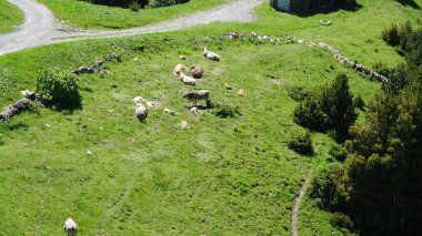 Andorra 'daki Canillo dağlarının doğa manzarası güneşli bir yaz öğleden sonrası