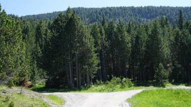 Andorra 'daki Canillo dağlarının doğa manzarası güneşli bir yaz öğleden sonrası